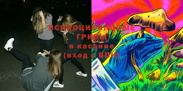 2c-b Зеленодольск