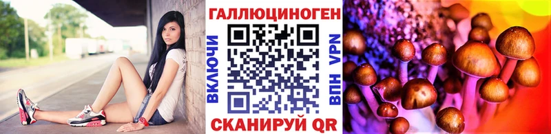 Псилоцибиновые грибы мухоморы  сколько стоит  Сретенск 